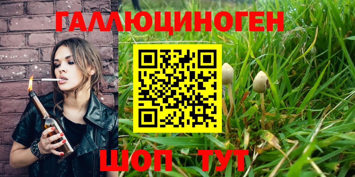 Псилоцибиновые грибы Psilocybine cubensis  Вход с VPN  Галлюциногенные грибы Psilocybine cubensis  Шатура 